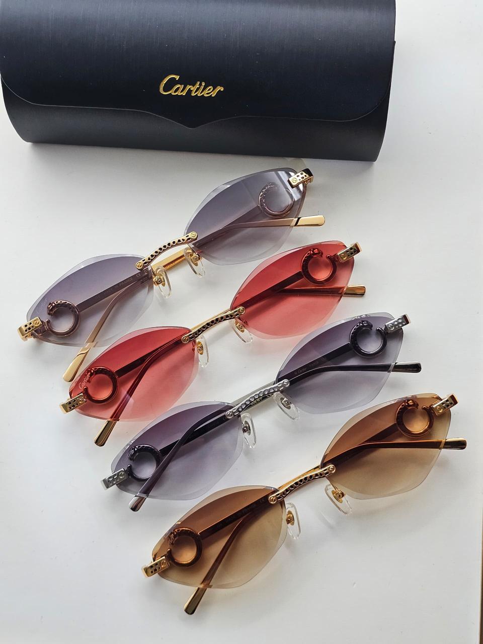 Ladies sunglasses