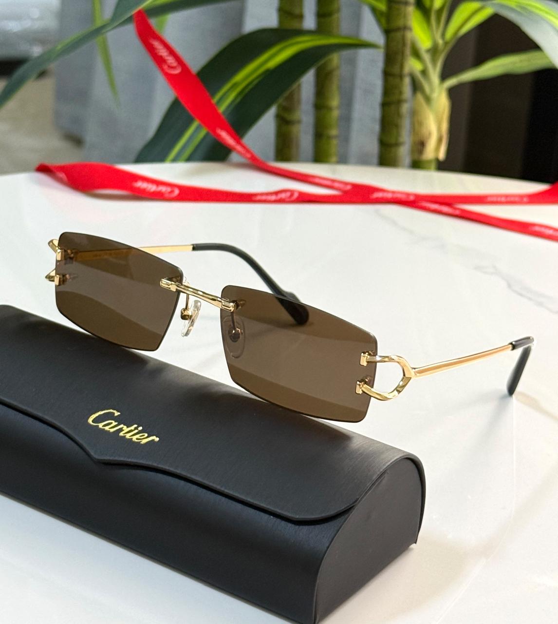 Ladies sunglasses
