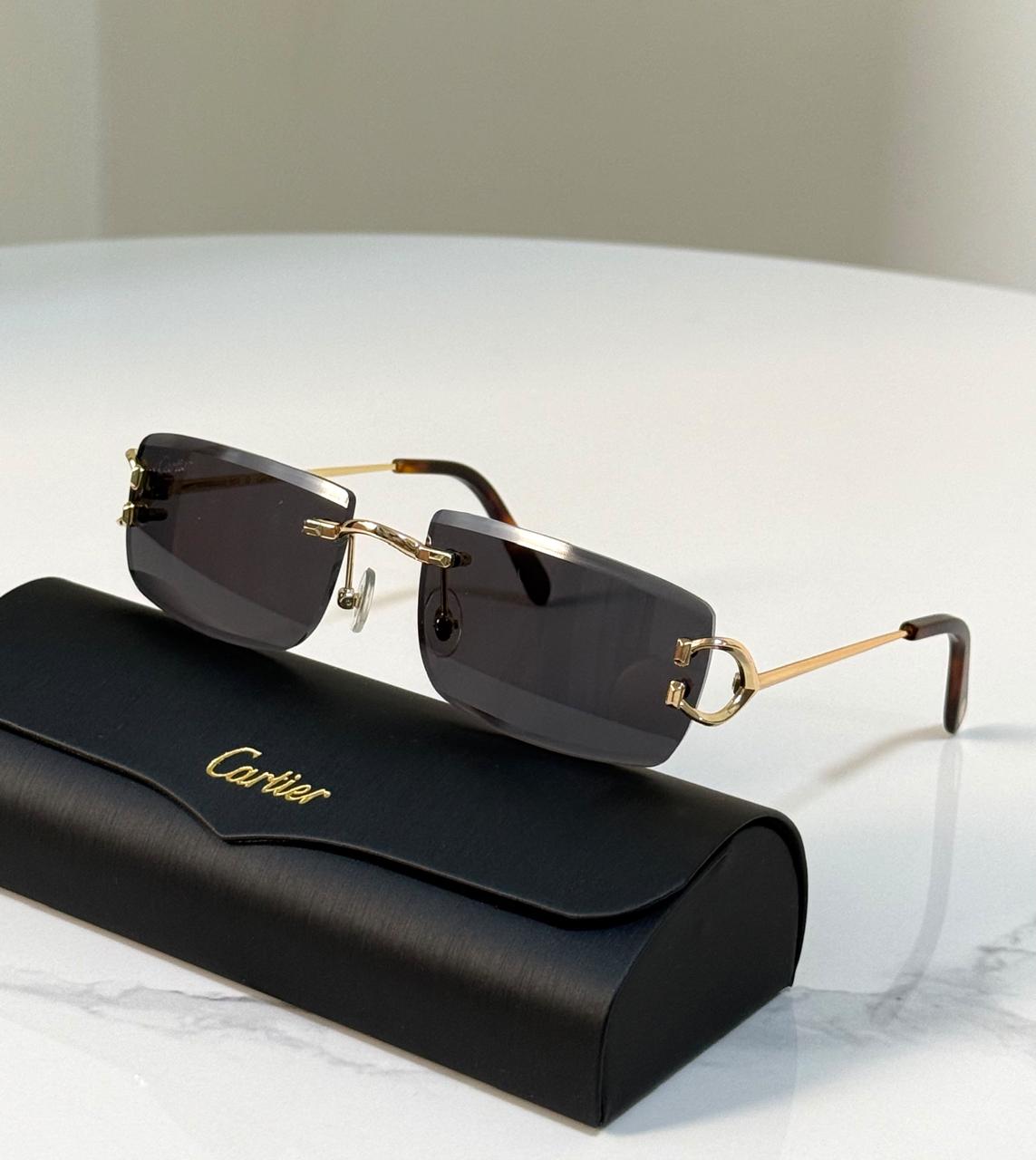 Men sunglasses