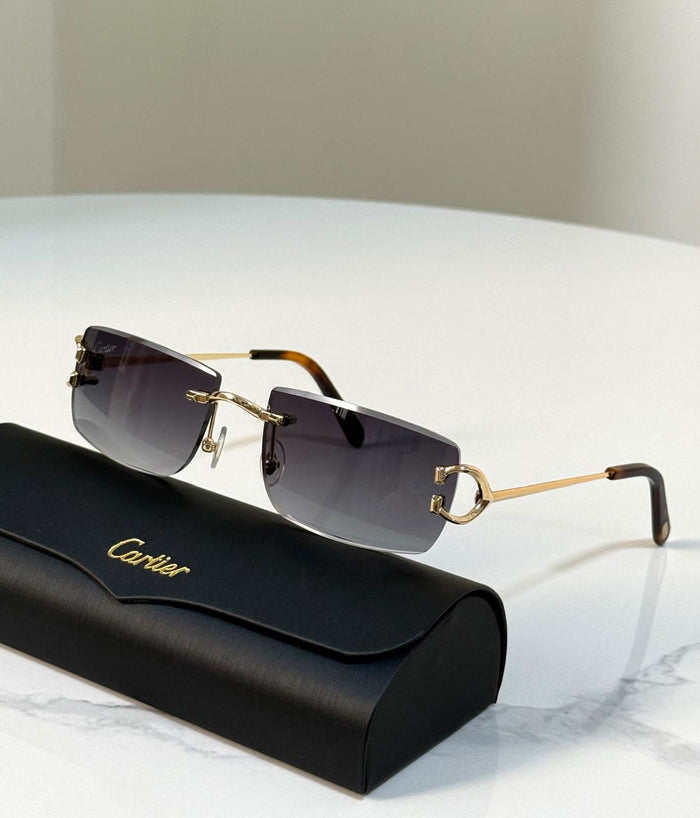 Men sunglasses