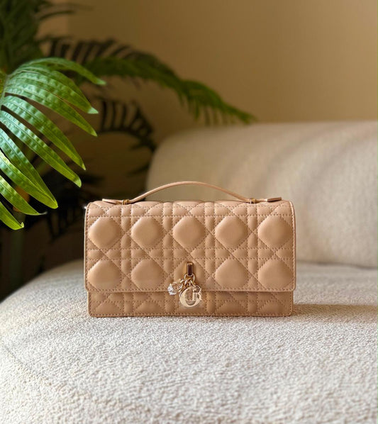 Ladies Di*r bags