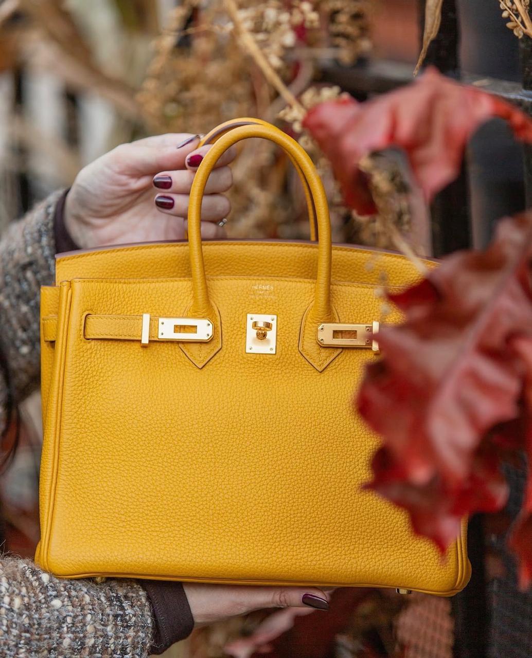 Ladies Herm**s bags