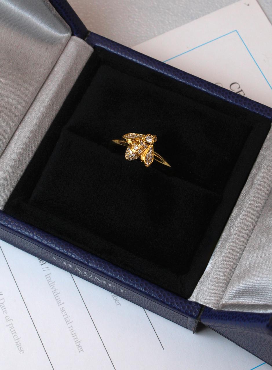 Rings & earrings