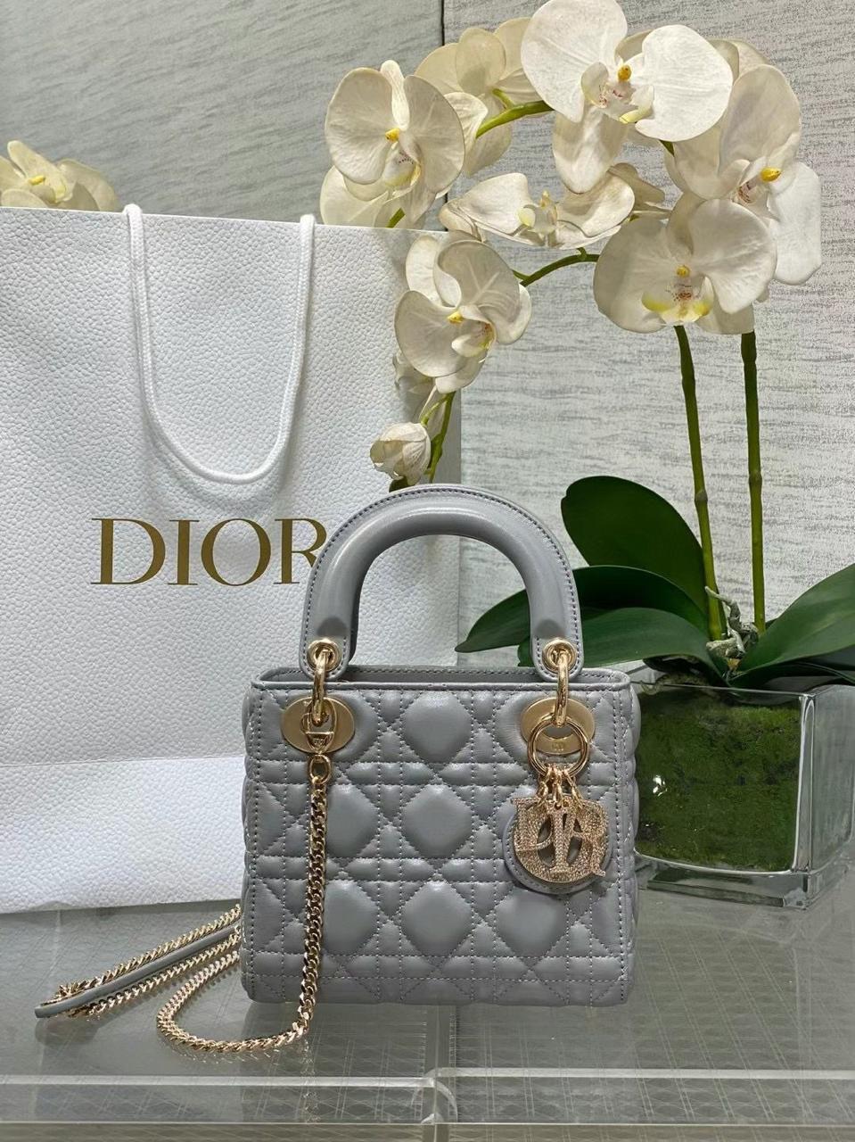 Ladies DI*R bags