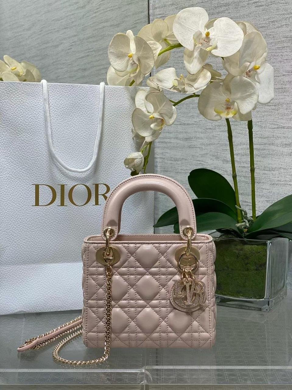 Ladies DI*R bags