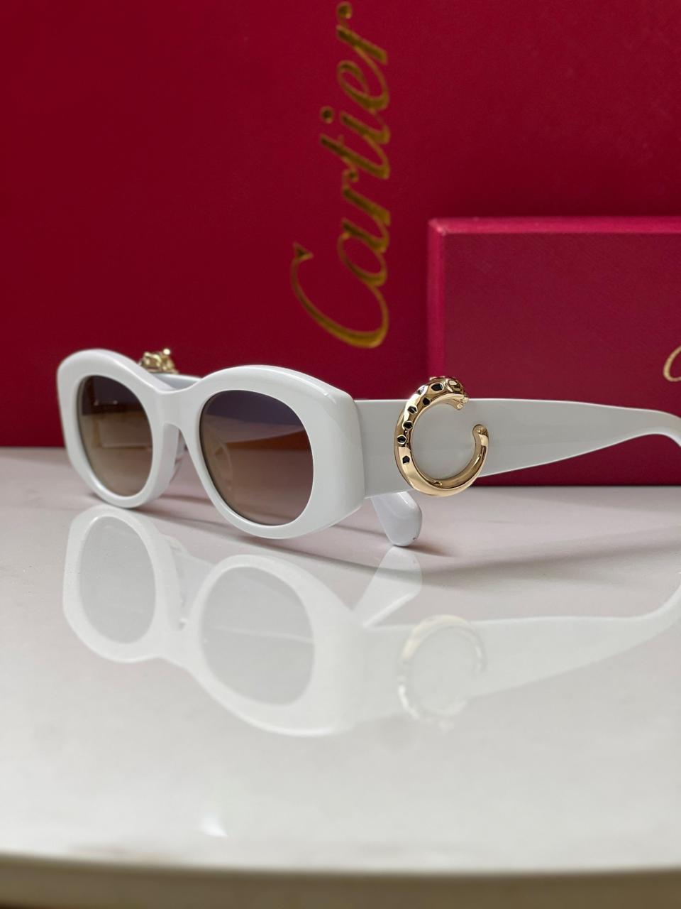 Ladies sunglasses