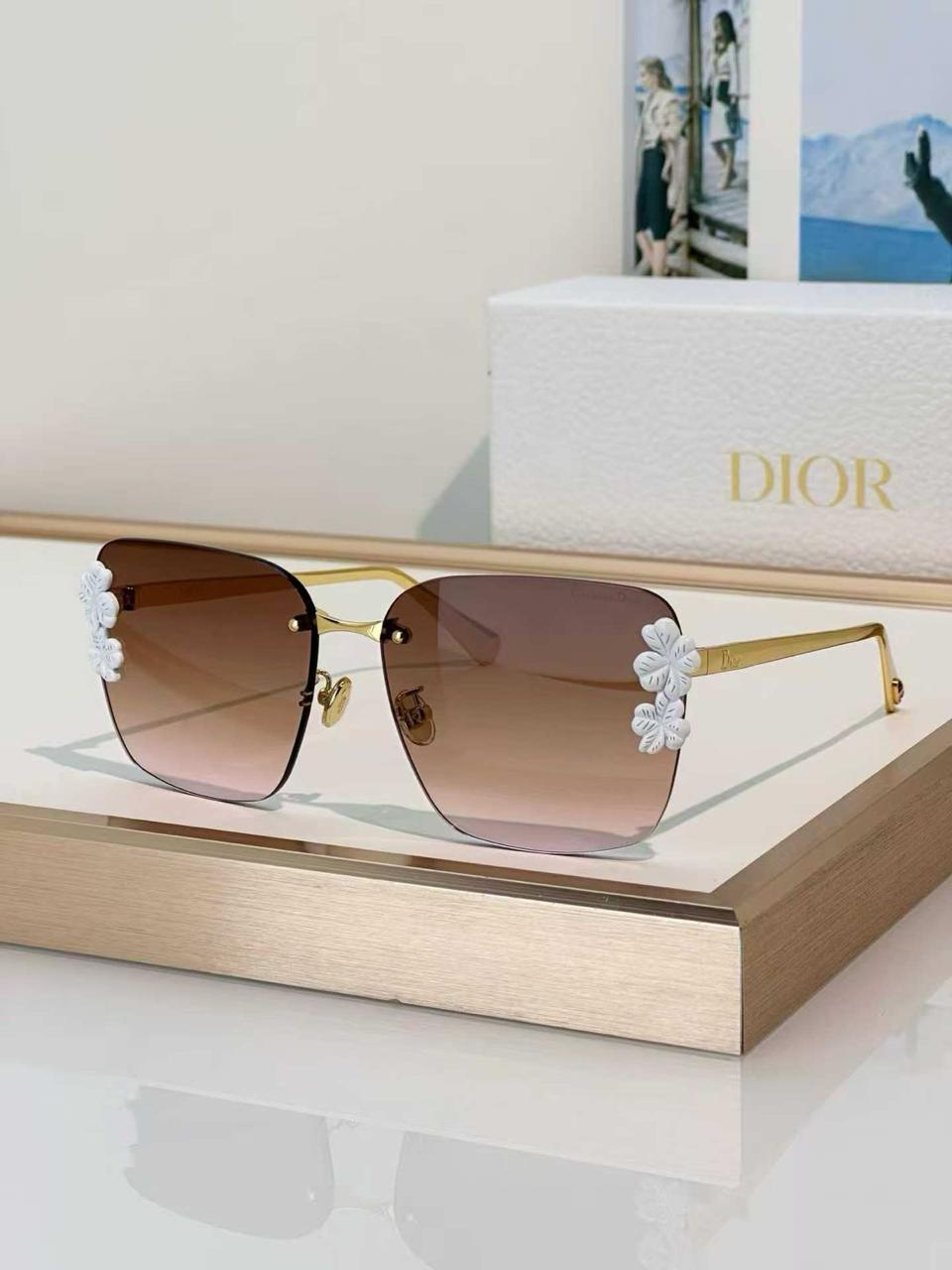 Ladies sunglasses