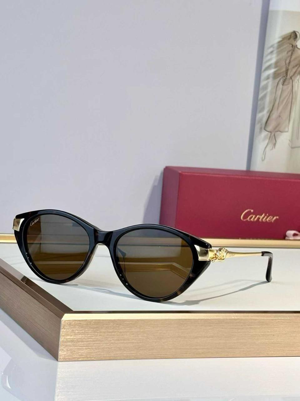 Ladies sunglasses