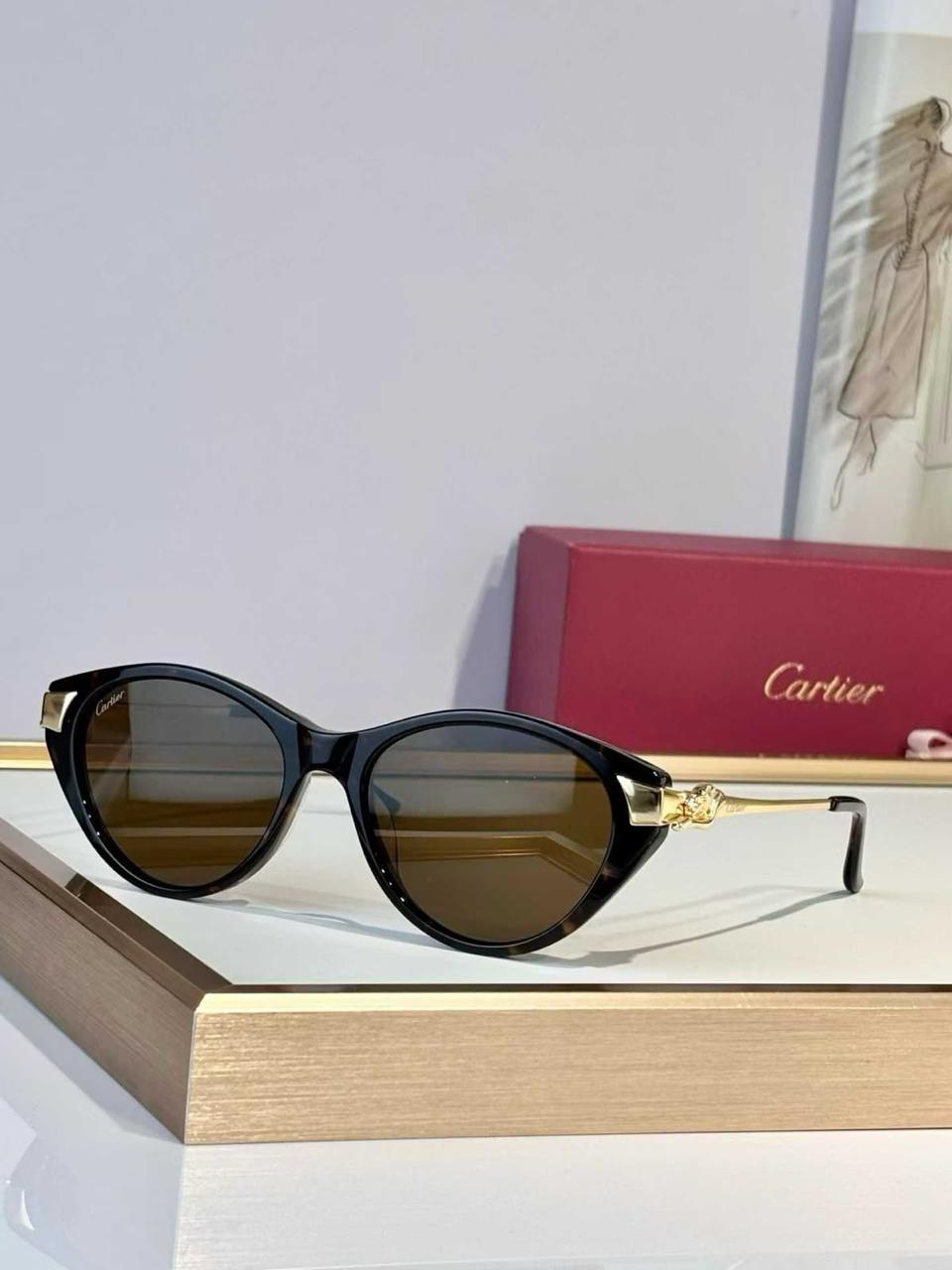 Ladies sunglasses