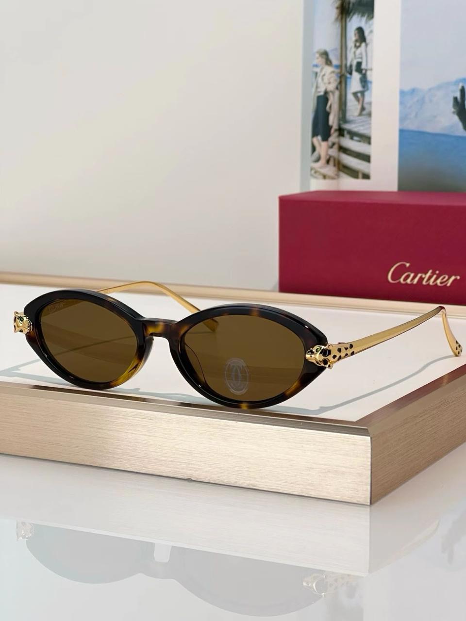 Ladies sunglasses
