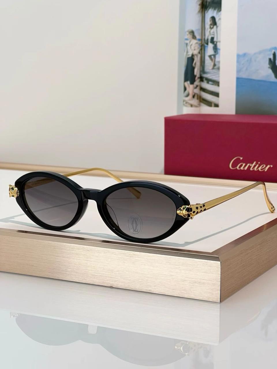 Ladies sunglasses