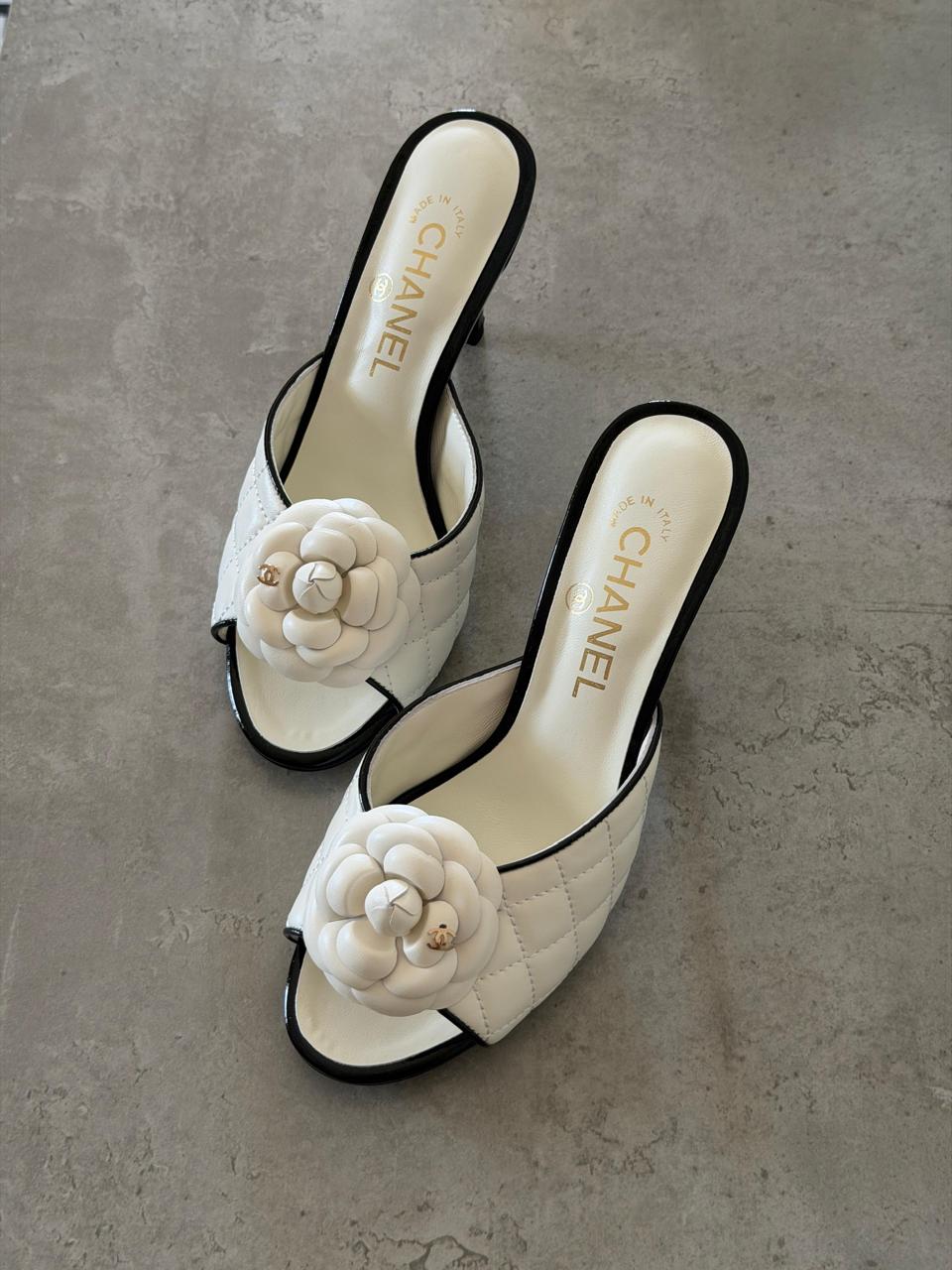 Bridal & party