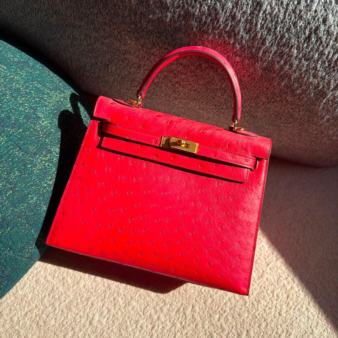 Herm**s ostrich bag.