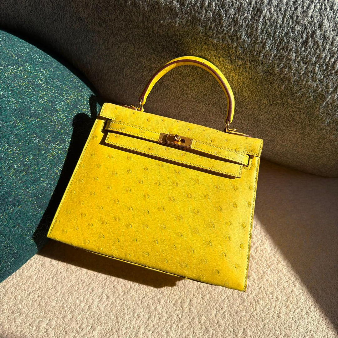Herm**s ostrich bag.