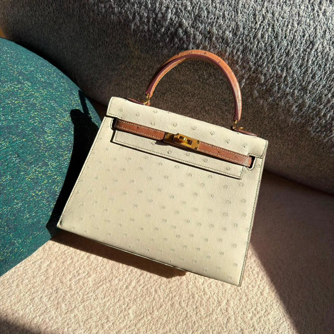 Herm**s ostrich bag.