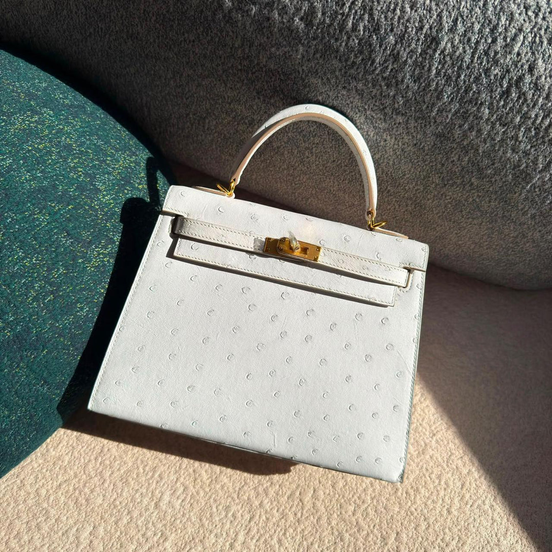 Herm**s ostrich bag.