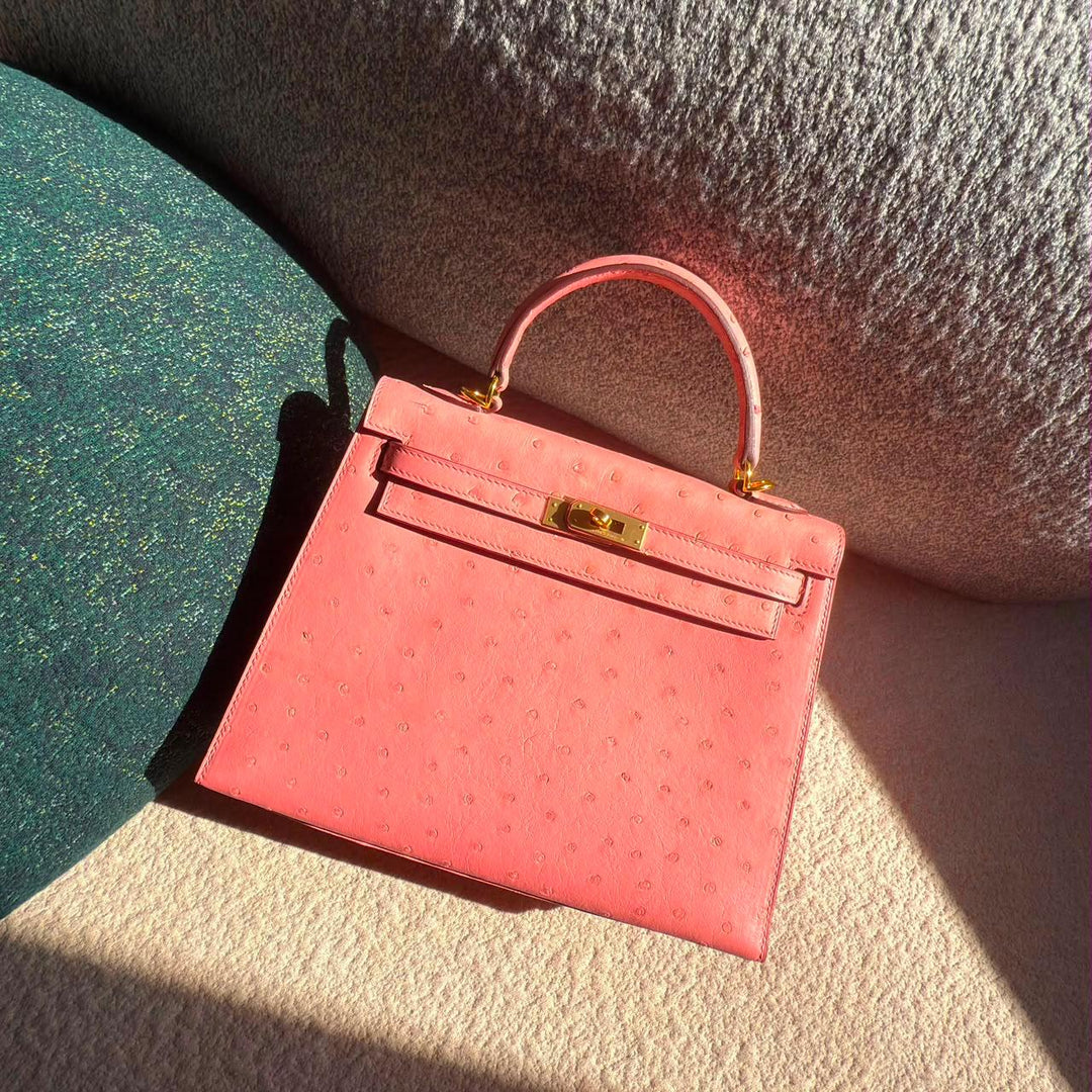Herm**s ostrich bag.