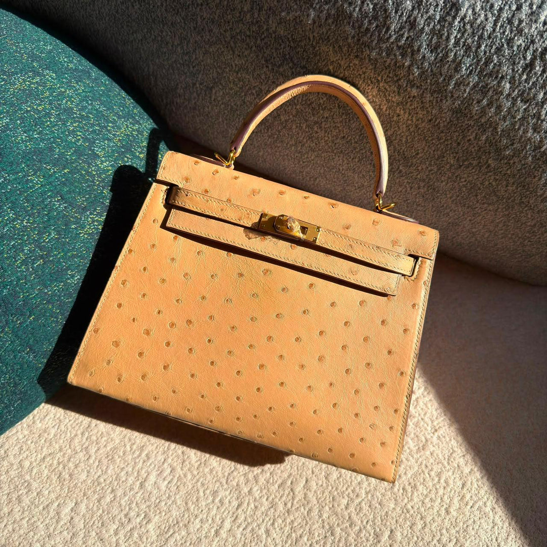 Herm**s ostrich bag.