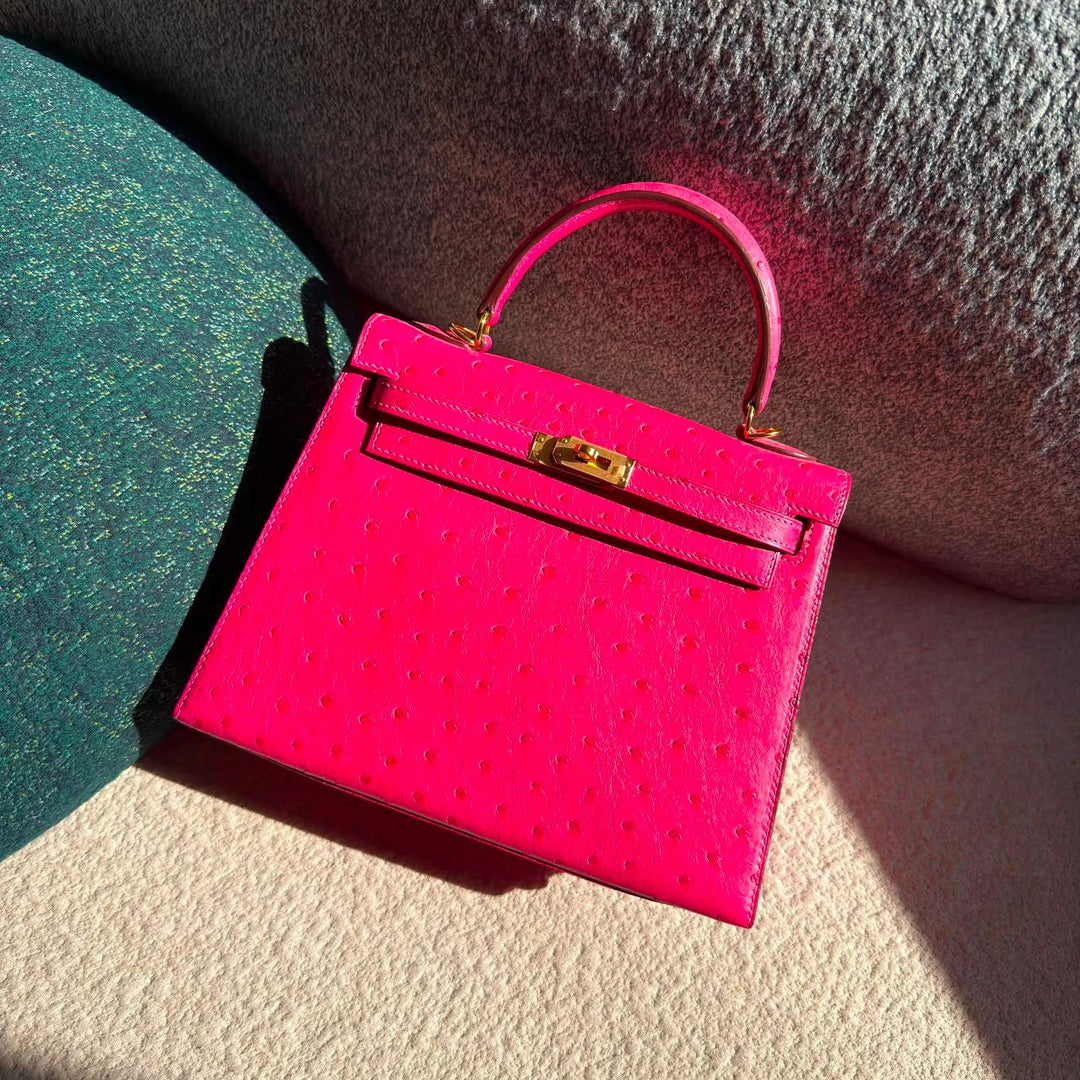 Herm**s ostrich bag.
