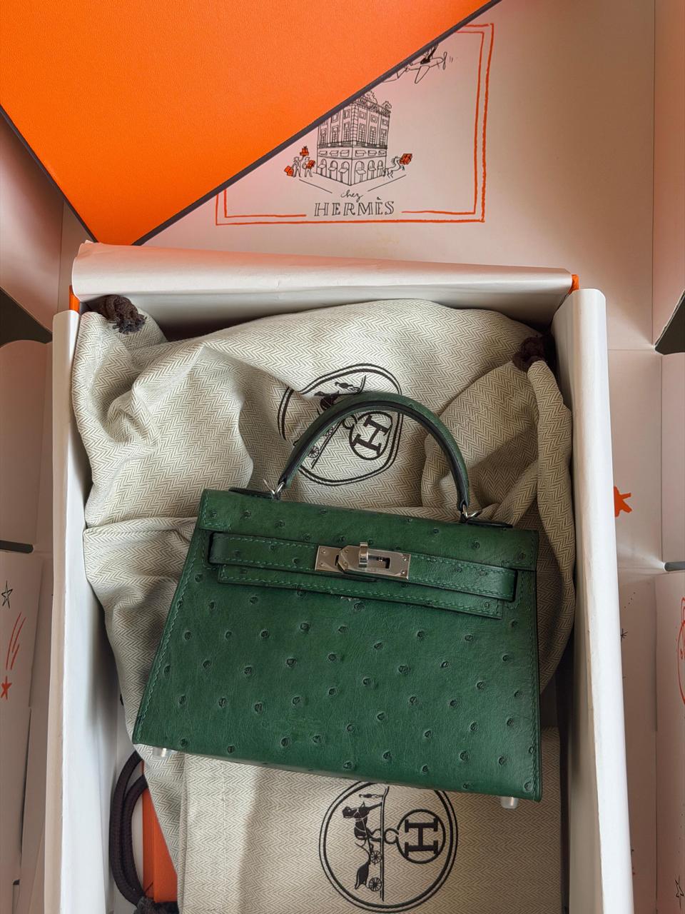 Herm**s ostrich bag.