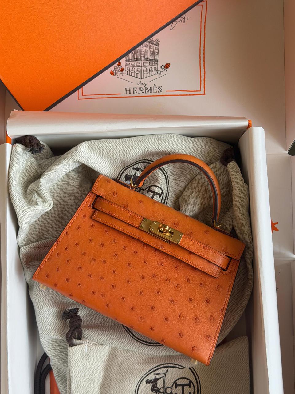 Herm**s ostrich bag.