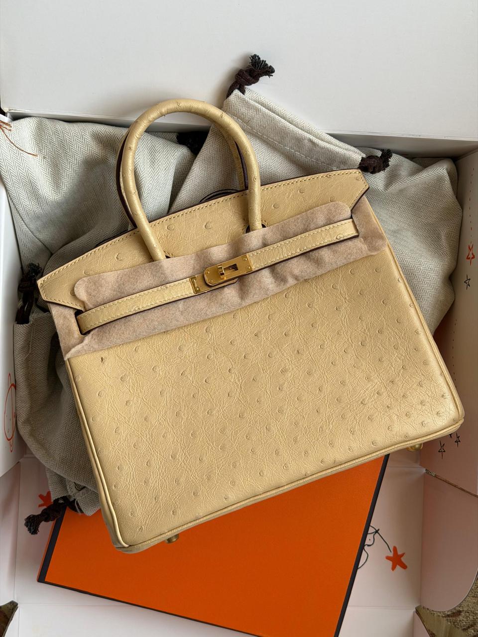Herm**s ostrich bag.