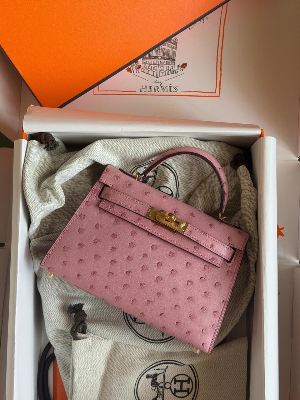 Herm**s ostrich bag.