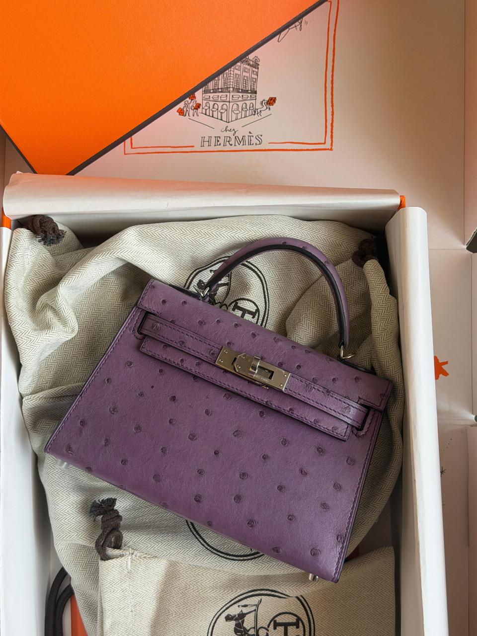 Herm**s ostrich bag.
