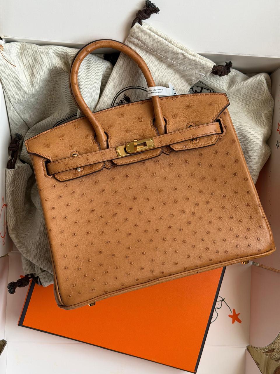 Herm**s ostrich bag.