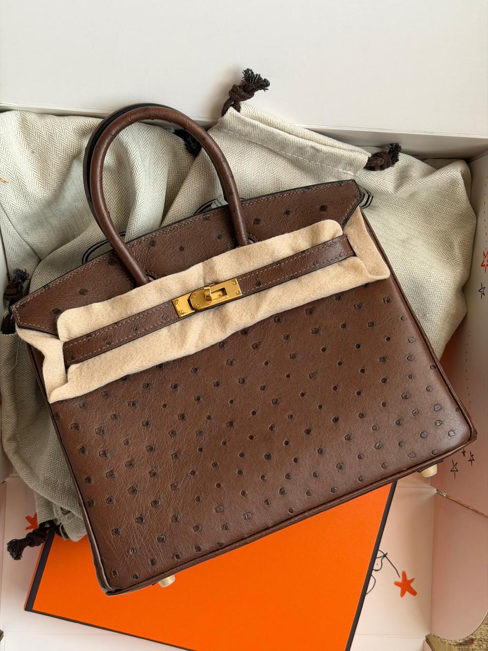 Herm**s ostrich bag.