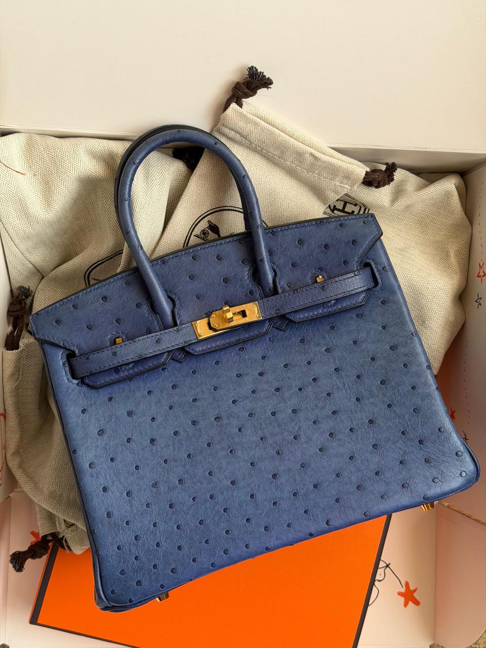 Herm**s ostrich bag.