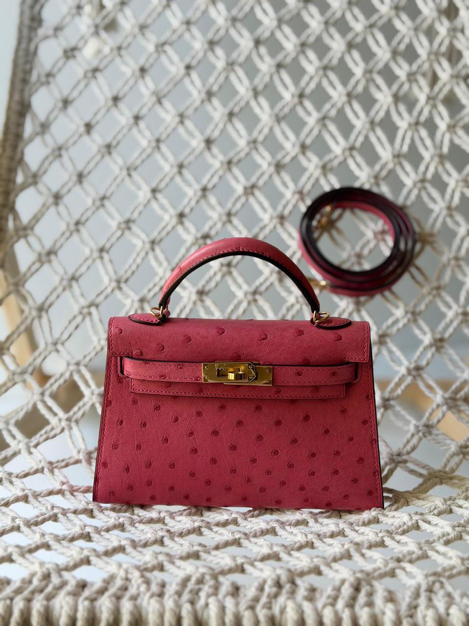 Herm**s ostrich bag.