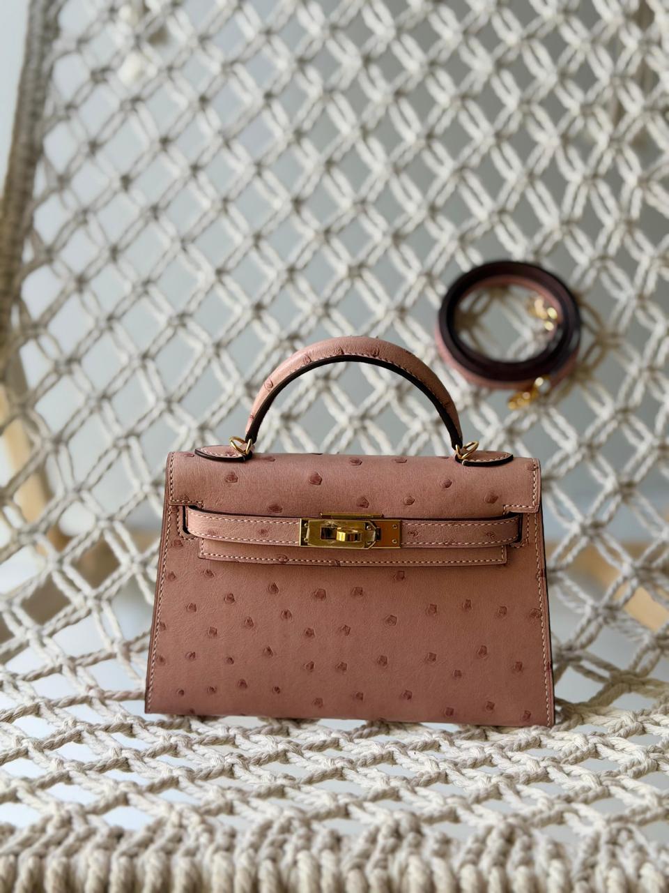 Herm**s ostrich bag.