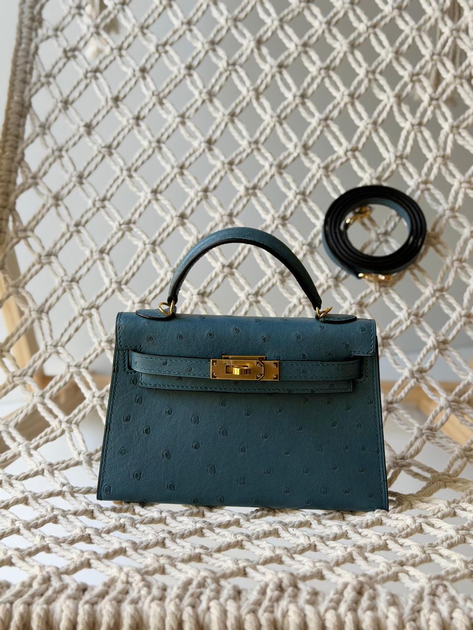 Herm**s ostrich bag.