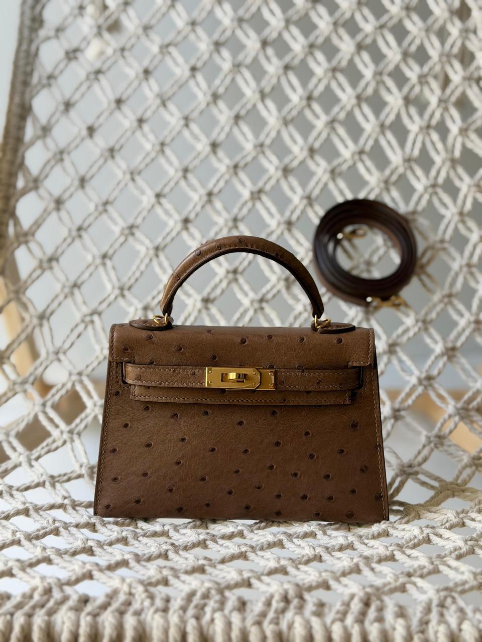 Herm**s ostrich bag.