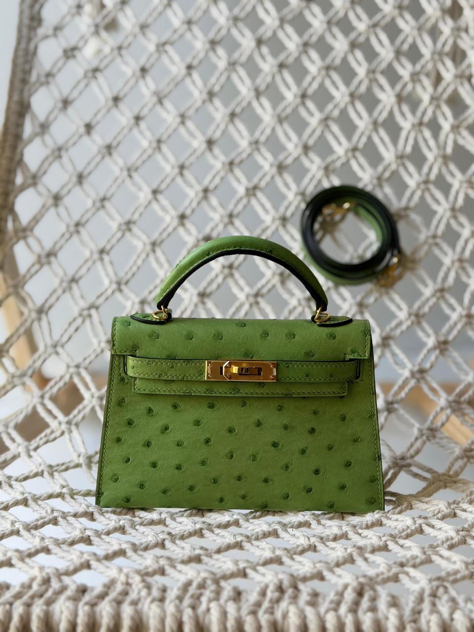 Herm**s ostrich bag.