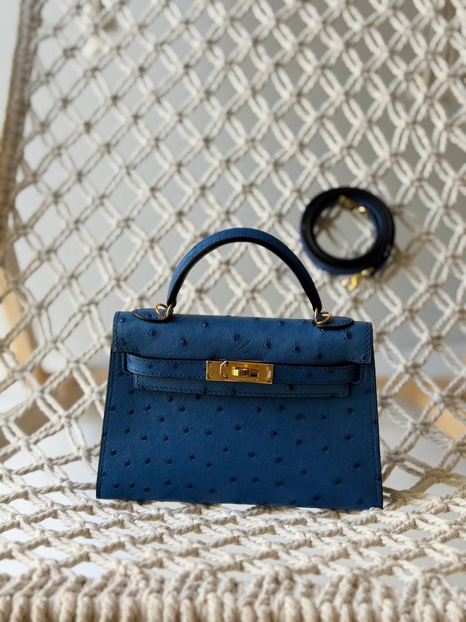 Herm**s ostrich bag.
