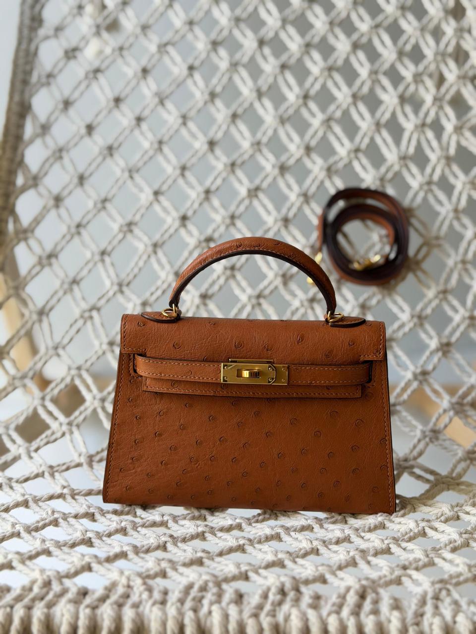 Herm**s ostrich bag.