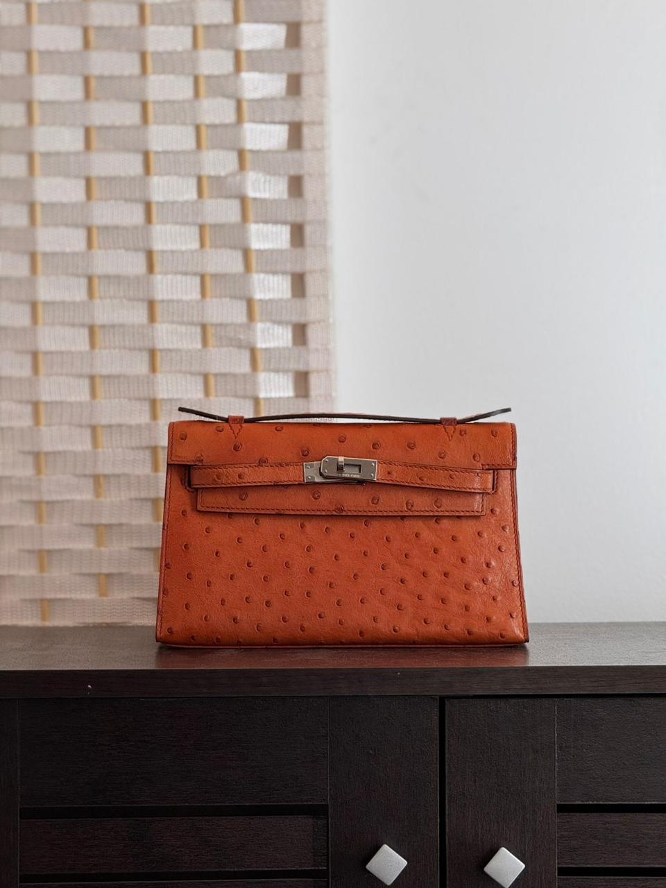 Herm**s ostrich bag.