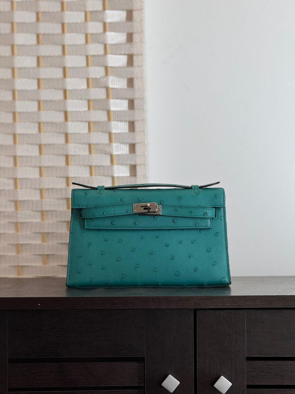 Herm**s ostrich bag.