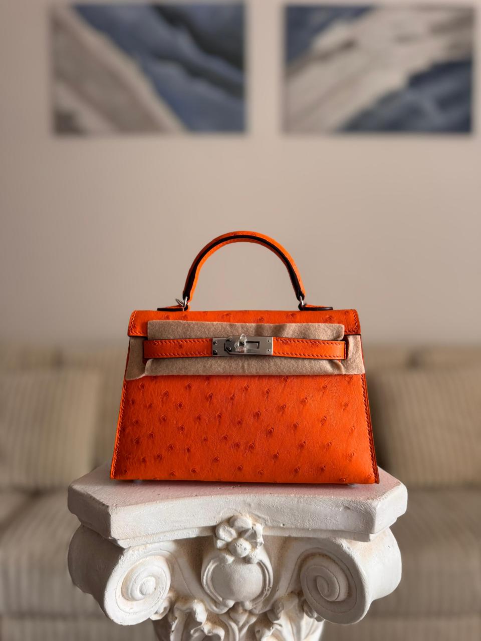 Herm**s ostrich bag.