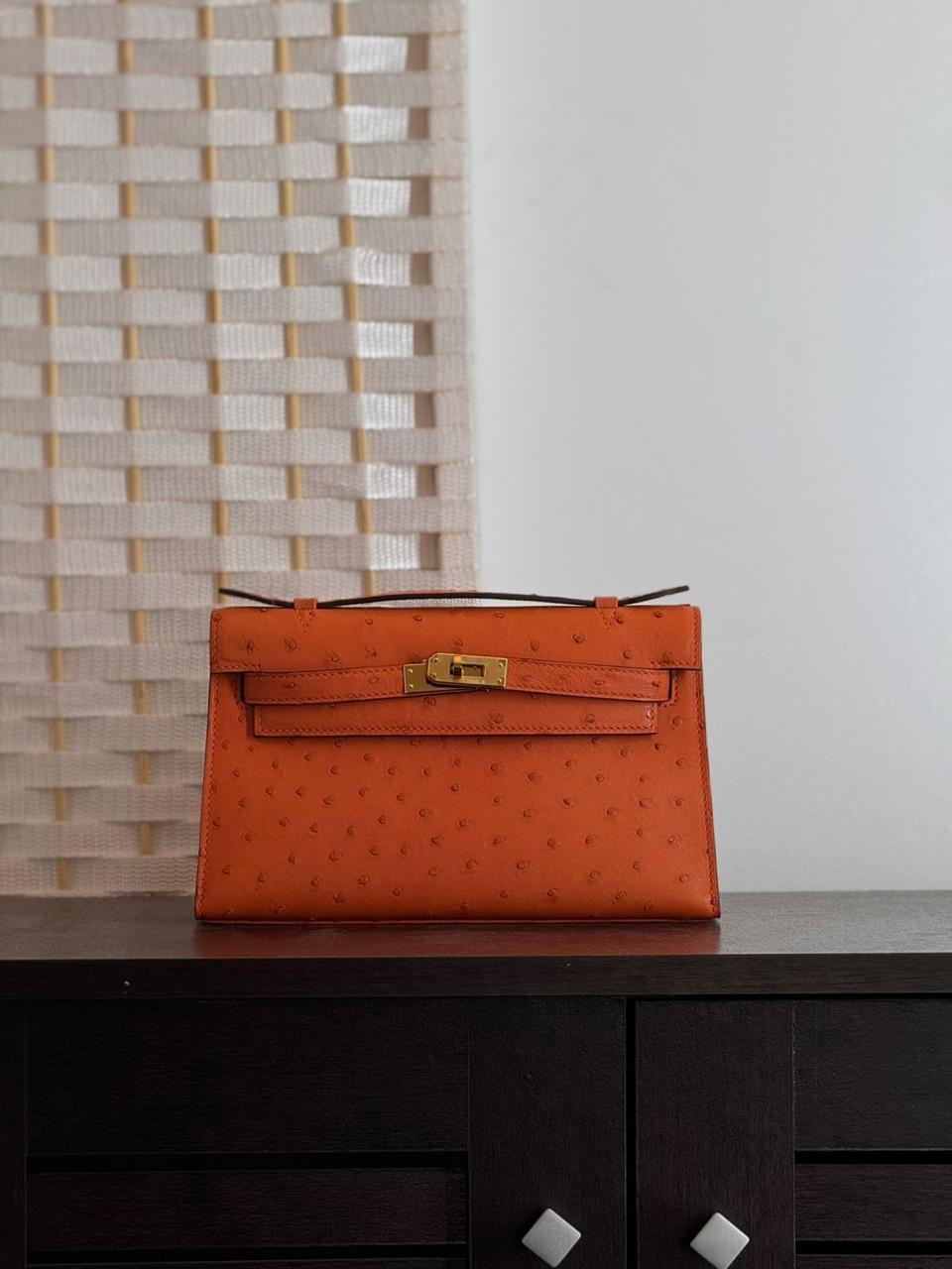 Herm**s ostrich bag.