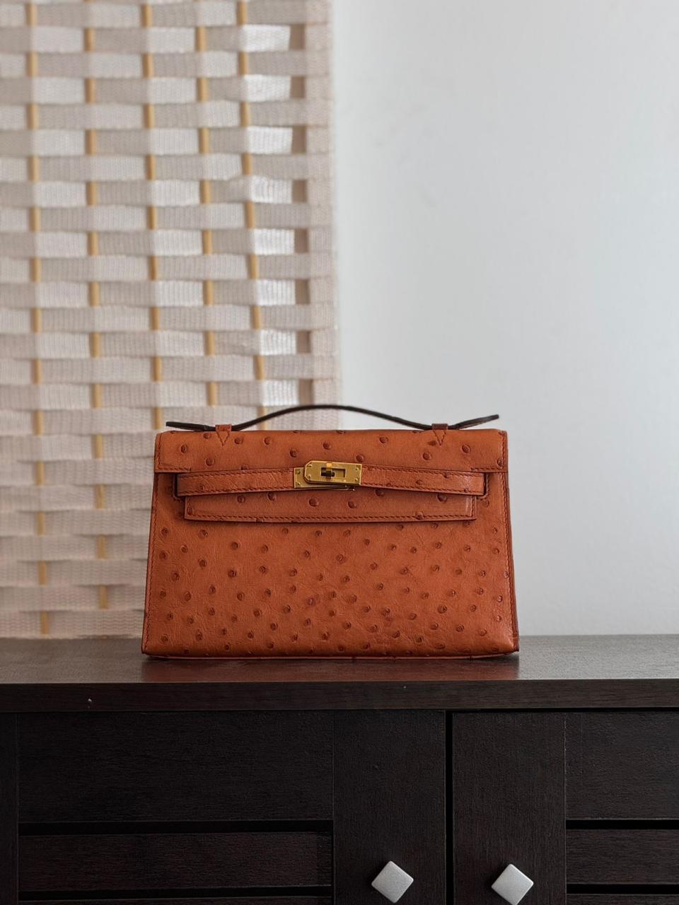 Herm**s ostrich bag.