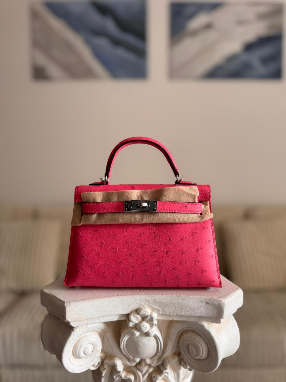 Herm**s ostrich bag.