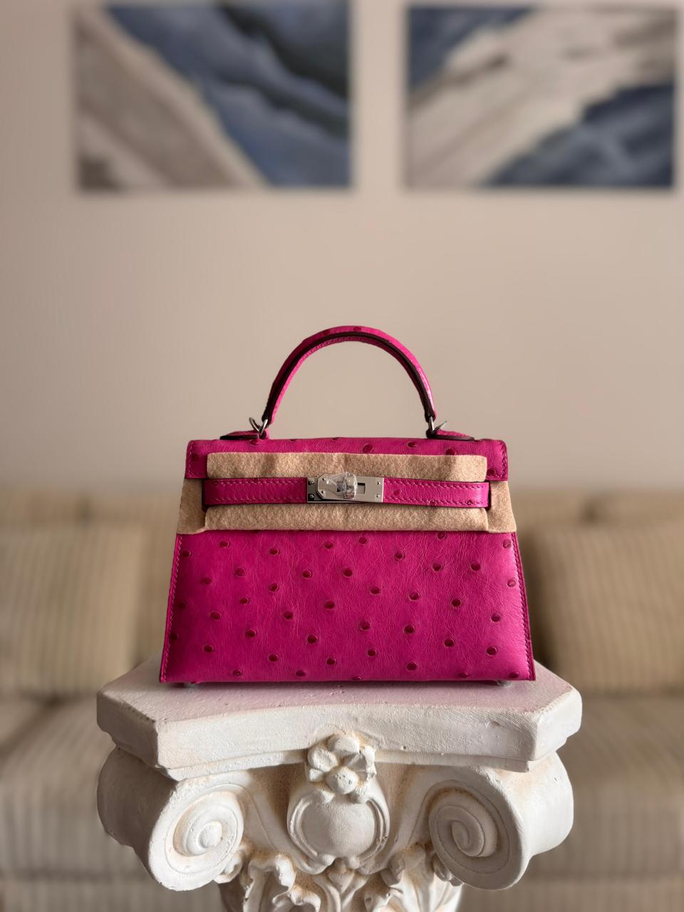 Herm**s ostrich bag.