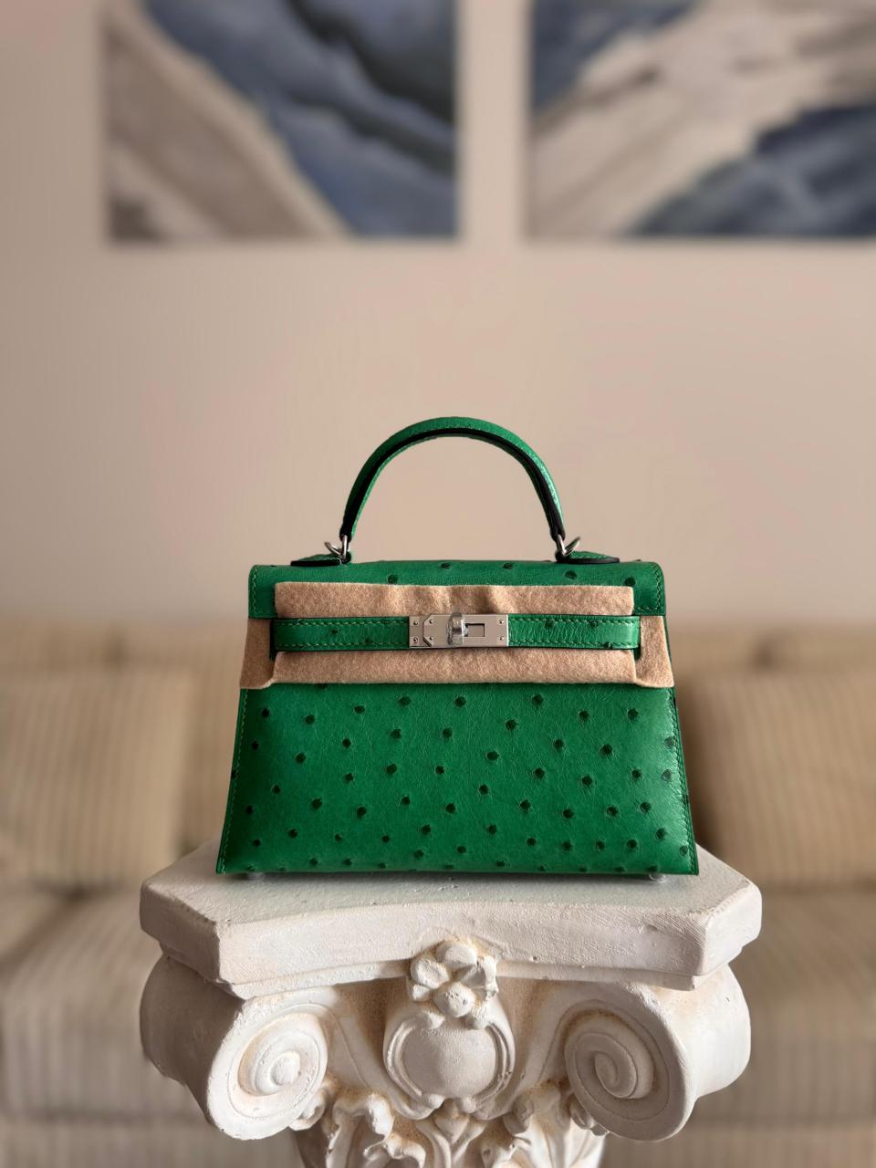 Herm**s ostrich bag.