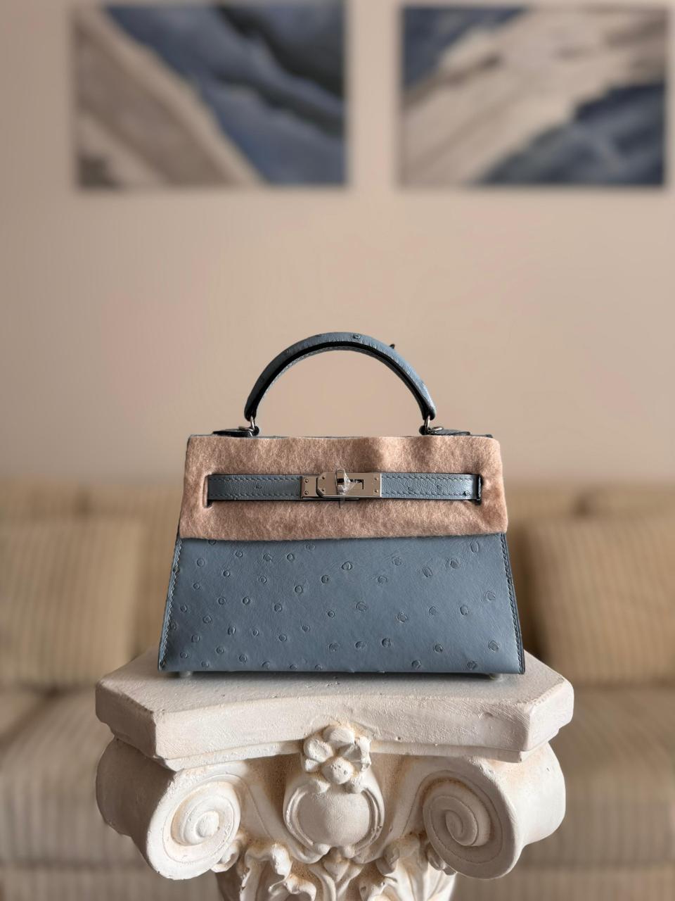 Herm**s ostrich bag.