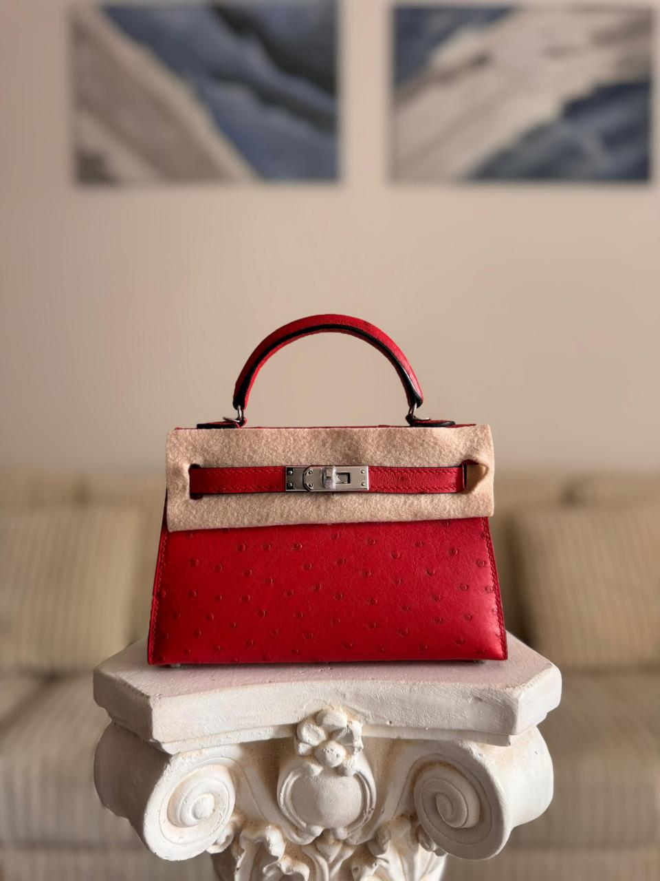 Herm**s ostrich bag.