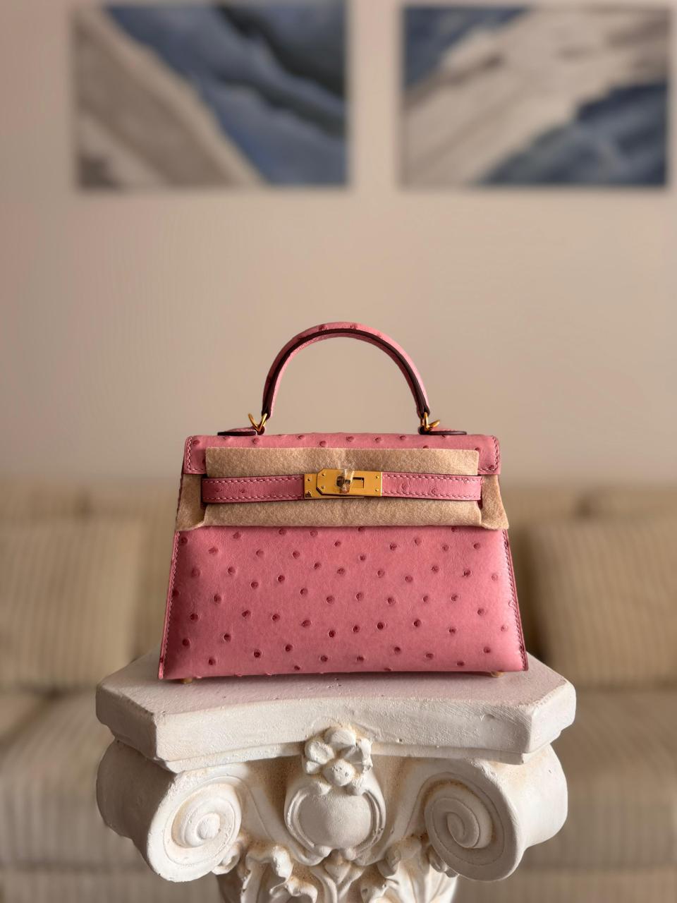 Herm**s ostrich bag.