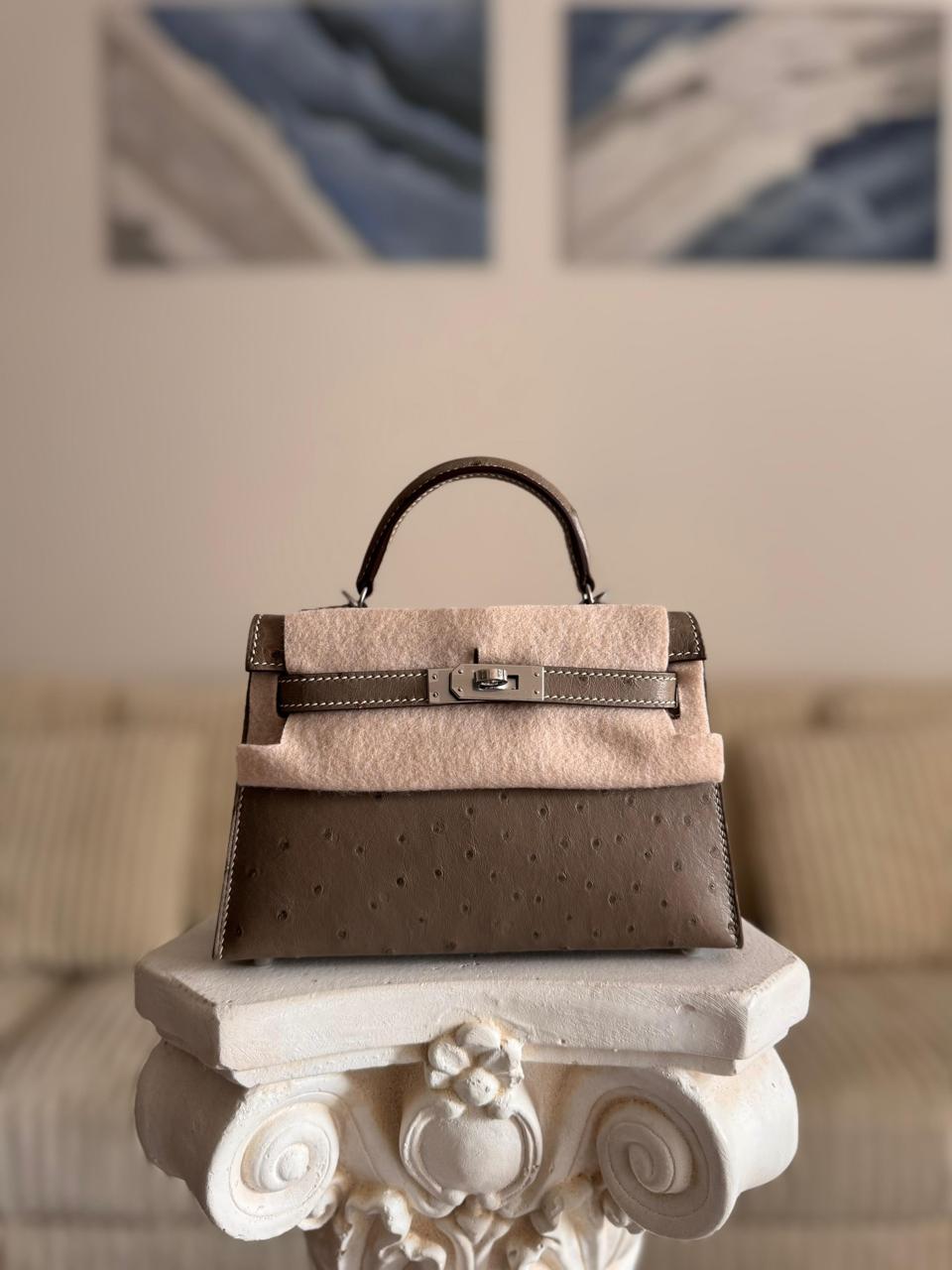 Herm**s ostrich bag.